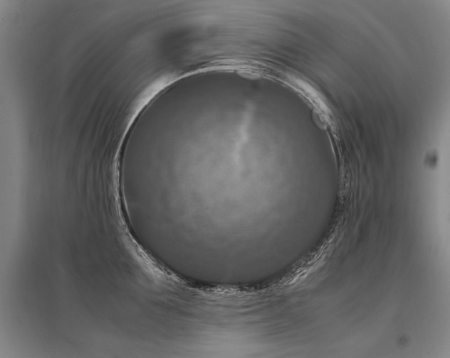 X0000095520907200712141443