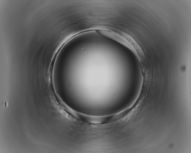 X0000095520908200712141443
