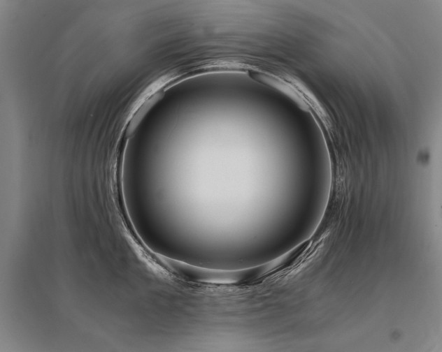 X0000095520909200712141443