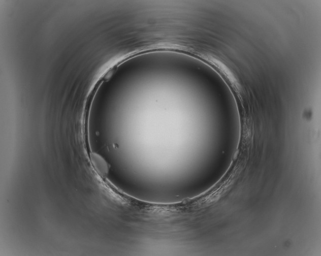 X0000095520910200712141443