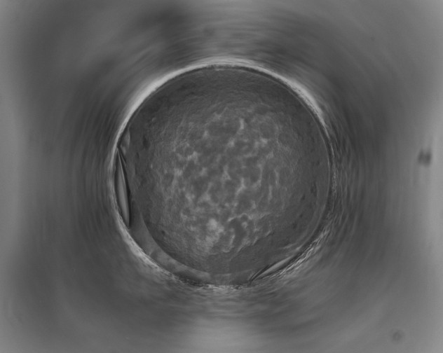 X0000095520911200712141443