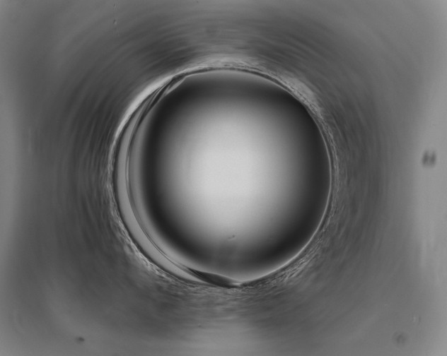 X0000095520912200712141443