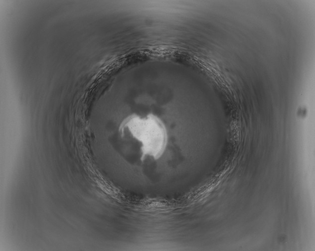 X0000095520913200712141442