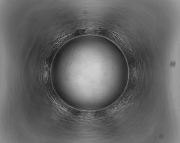 X0000095520914200712141442