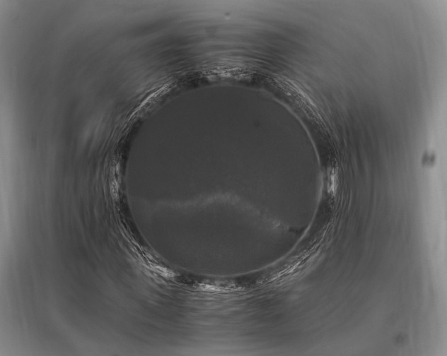 X0000095520915200712141442