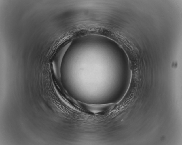 X0000095520916200712141442