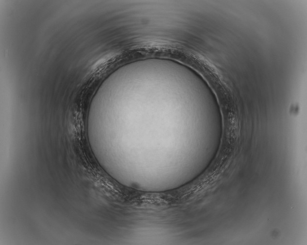 X0000095520918200712141442
