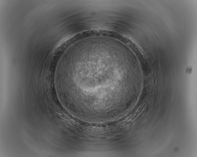 X0000095520919200712141442