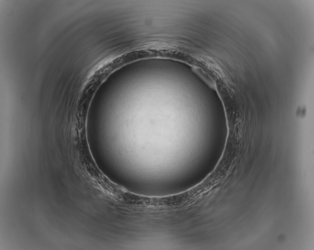 X0000095520920200712141442