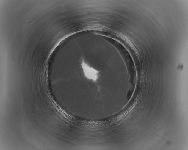 X0000095520923200712141443