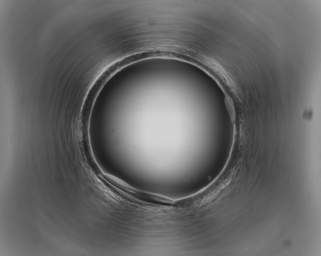 X0000095520924200712141443