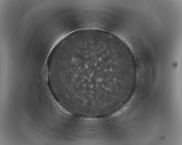 X0000095520925200712141443