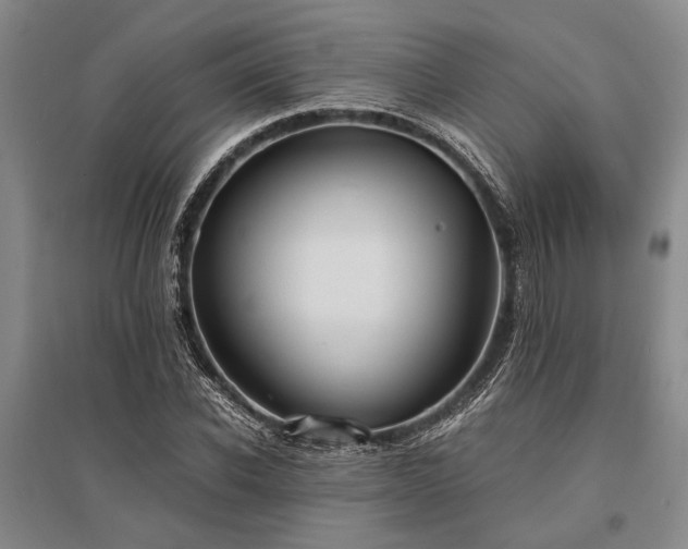 X0000095520926200712141443