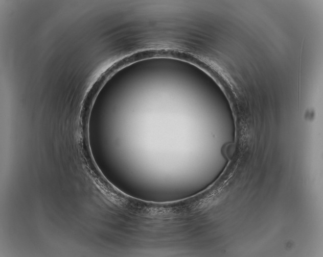 X0000095520927200712141443
