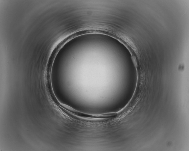 X0000095520928200712141443