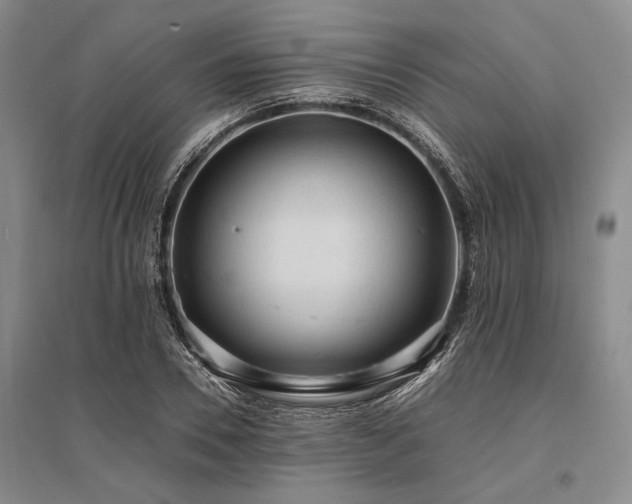X0000095520930200712141443
