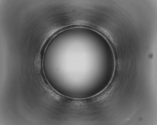 X0000095520931200712141443