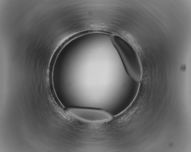 X0000095520932200712141443