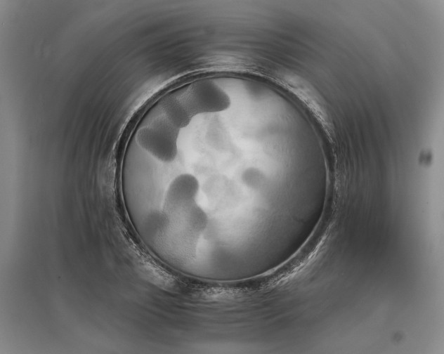 X0000095520933200712141443