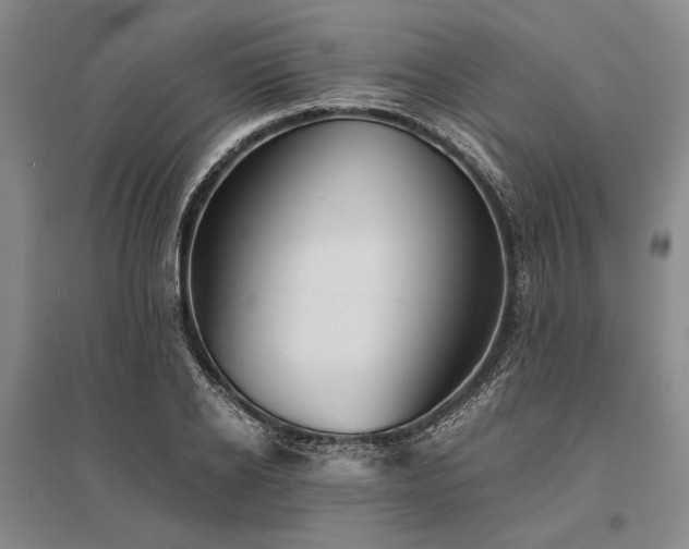 X0000095520934200712141443