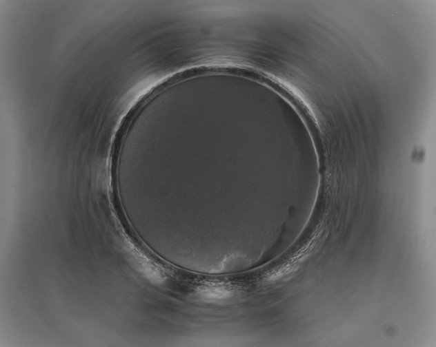 X0000095520935200712141443