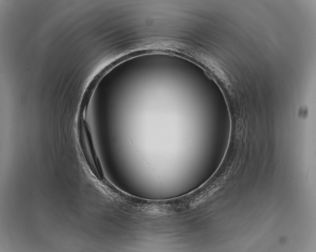 X0000095520936200712141443