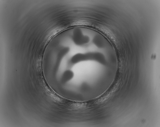 X0000095520937200712141443