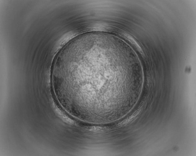 X0000095520938200712141443