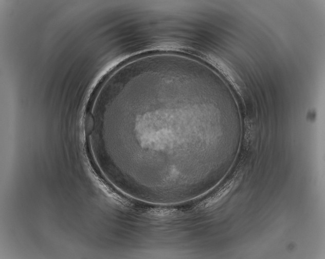 X0000095520939200712141443