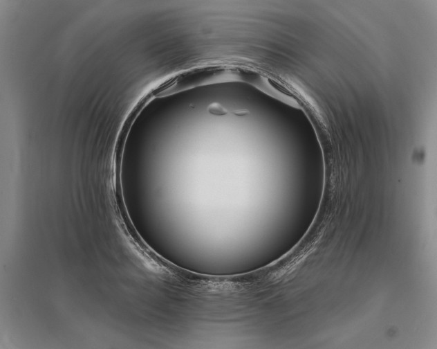 X0000095520940200712141443