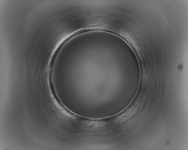 X0000095520941200712141443