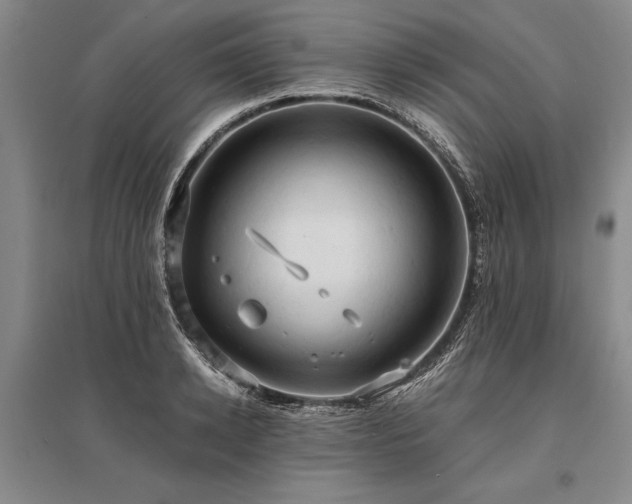 X0000095520942200712141443
