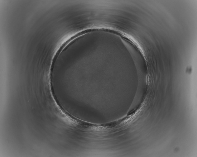 X0000095520943200712141443