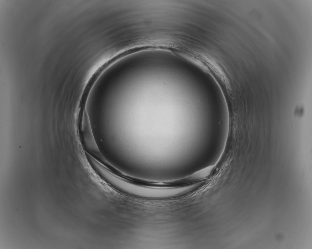 X0000095520944200712141443