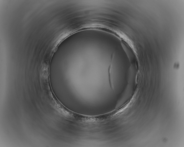 X0000095520945200712141443