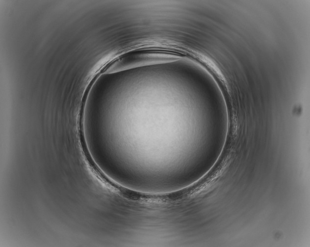 X0000095520946200712141443