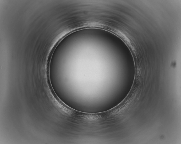 X0000095520947200712141443
