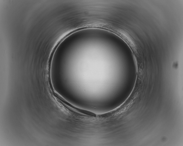 X0000095520948200712141443