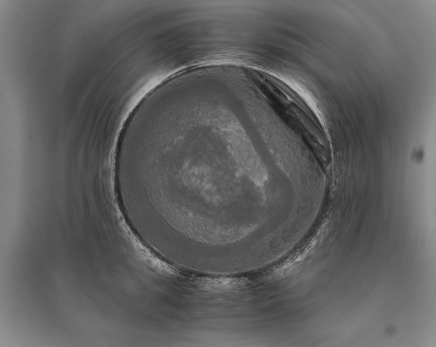 X0000095520949200712141443