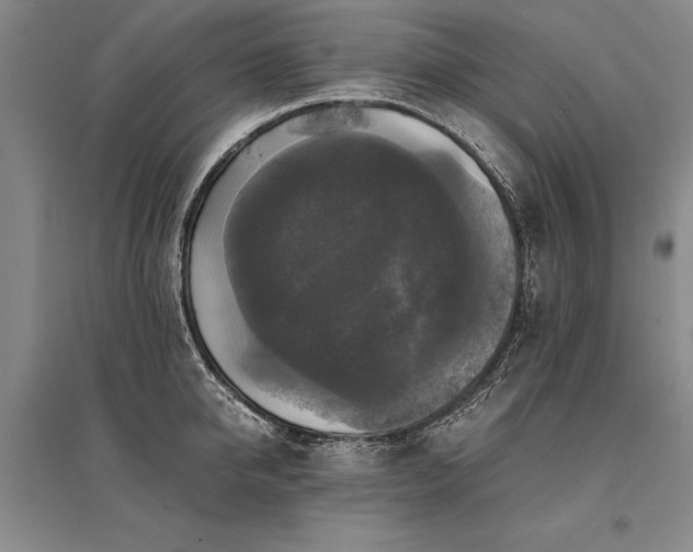 X0000095520950200712141443