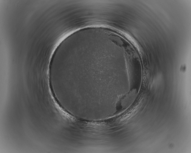 X0000095520951200712141443