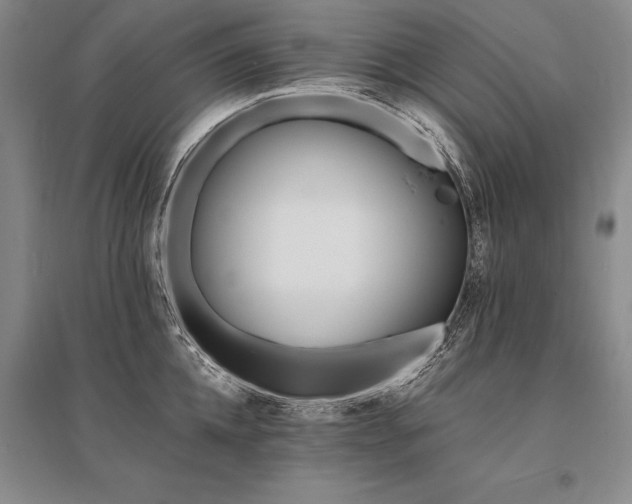 X0000095520952200712141443