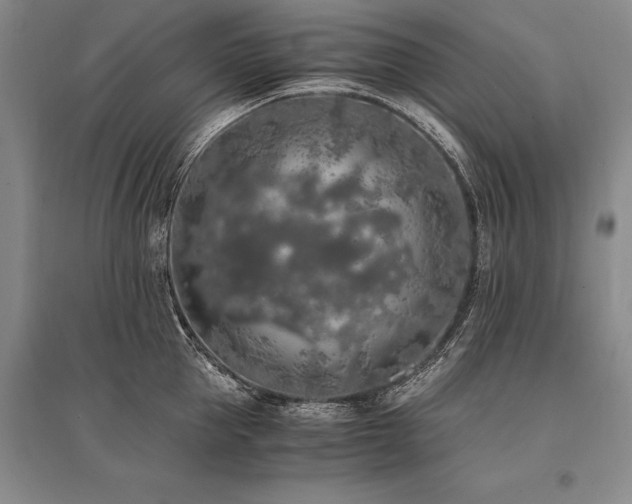 X0000095520953200712141443