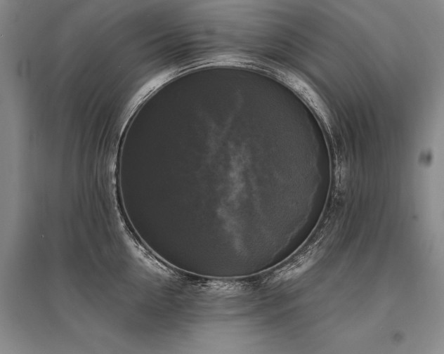 X0000095520954200712141443