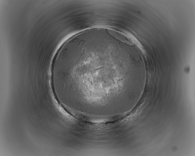 X0000095520955200712141443
