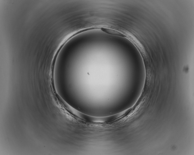 X0000095520956200712141443