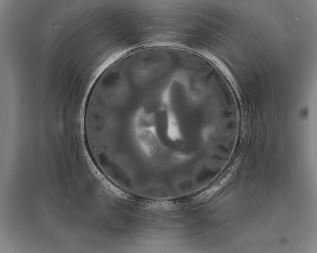 X0000095520957200712141443