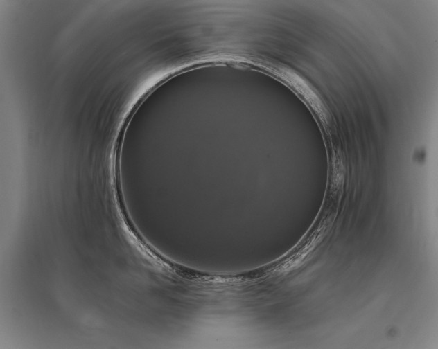 X0000095520958200712141443