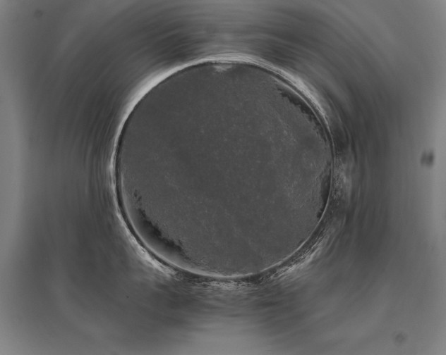 X0000095520959200712141443