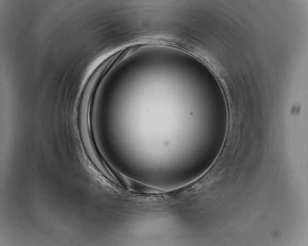 X0000095520960200712141443